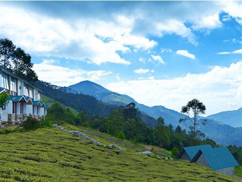 Green Jungle Holiday Resort Munnar Exterior foto